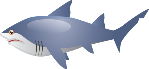 shark